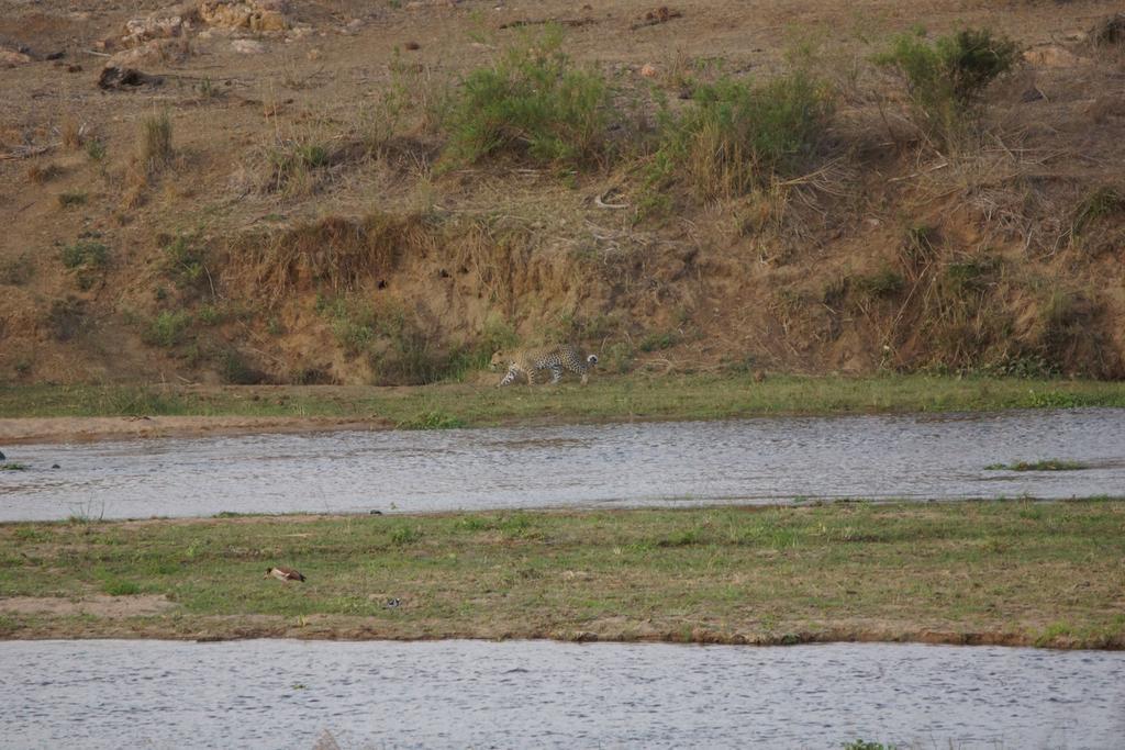 Tau @ Kruger Villa มาร์ลอทพาร์ค ภายนอก รูปภาพ